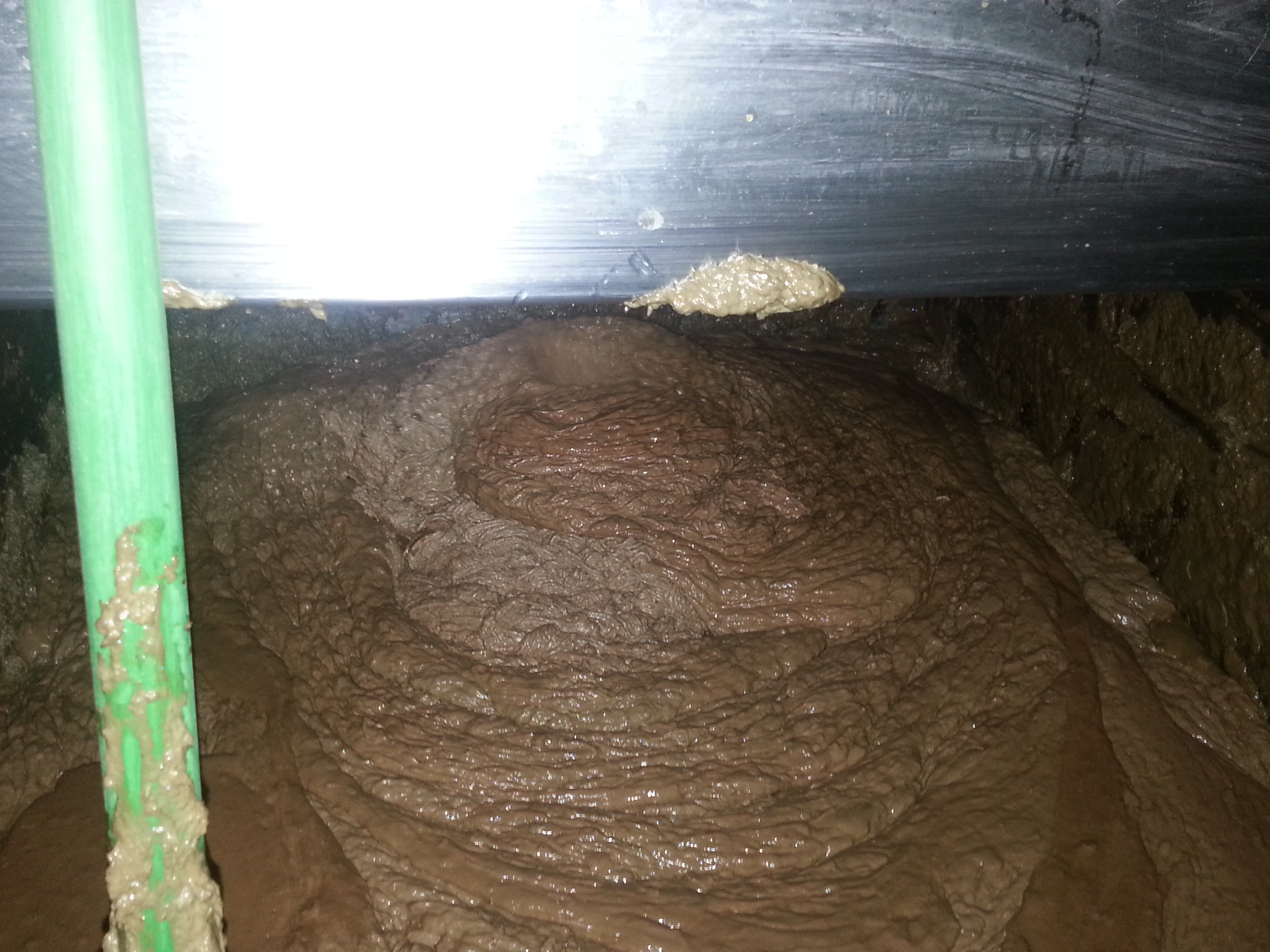 고점도 분뇨 이송